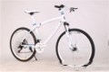 BMW Cross Country Mountain Bike with Double Disc Brakes