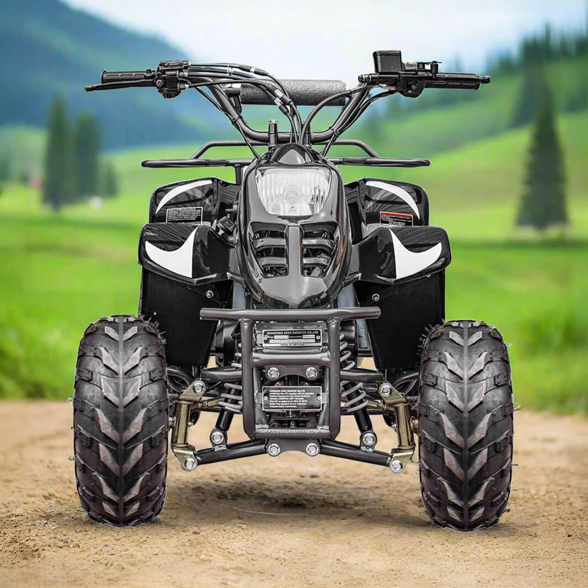 110CC 4-Stroke Mini Kids ATV Quad Bike