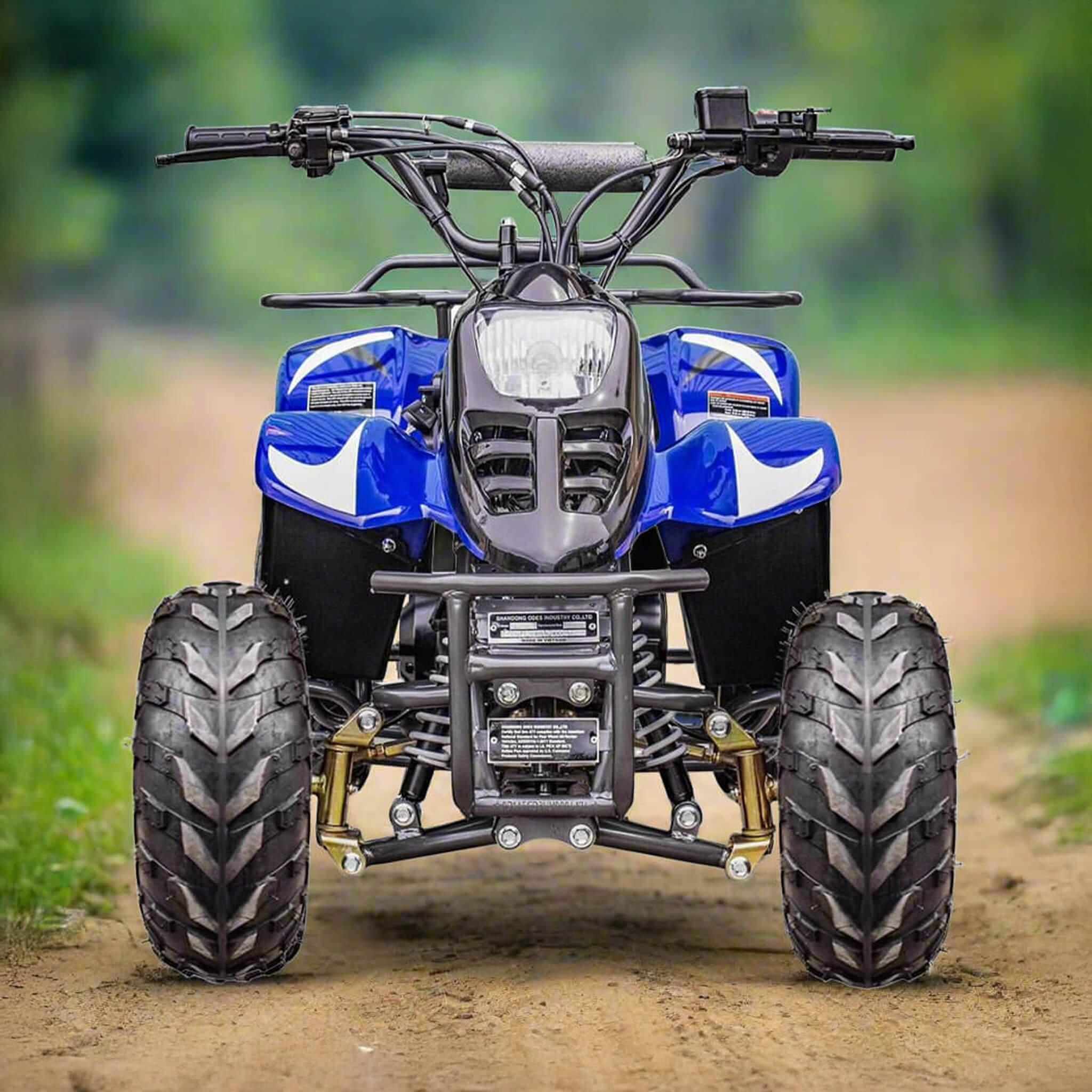 110CC 4-Stroke Mini Kids ATV Quad Bike