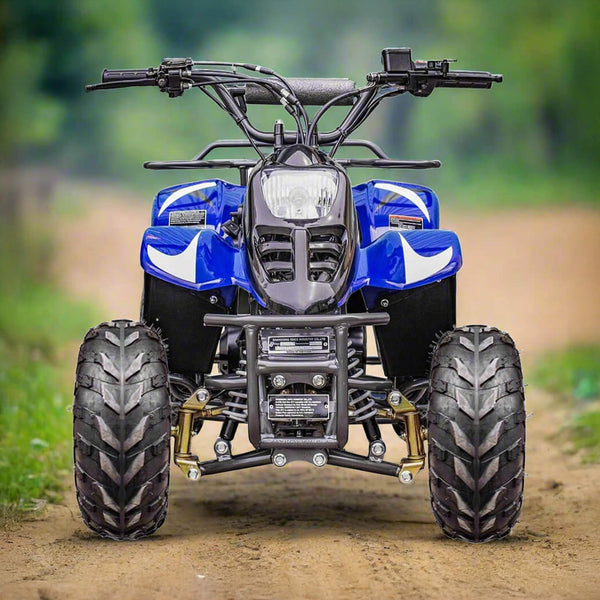 110CC 4-Stroke Mini Kids ATV Quad Bike